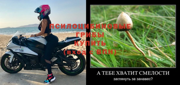 PSILOCYBIN Алзамай